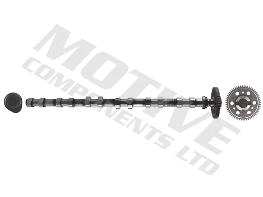 MOTIVE T2137