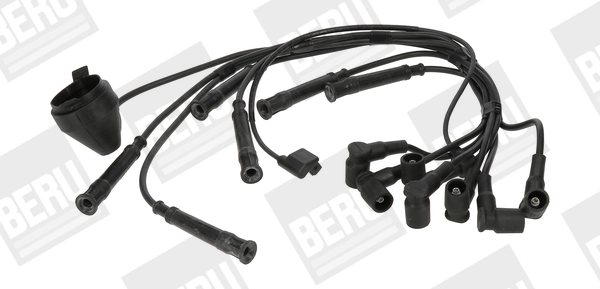 Beru ZE755
