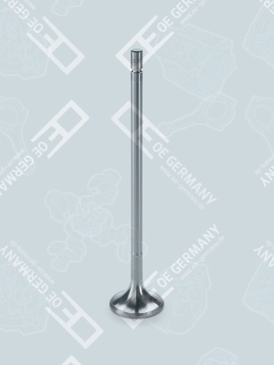 OEM GERMANY 010520611001