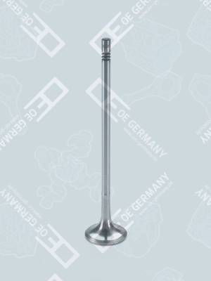 OEM GERMANY 040520201102
