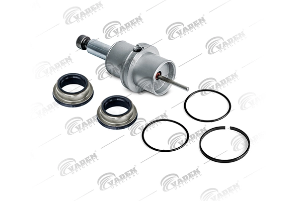 VADEN 30311009208
