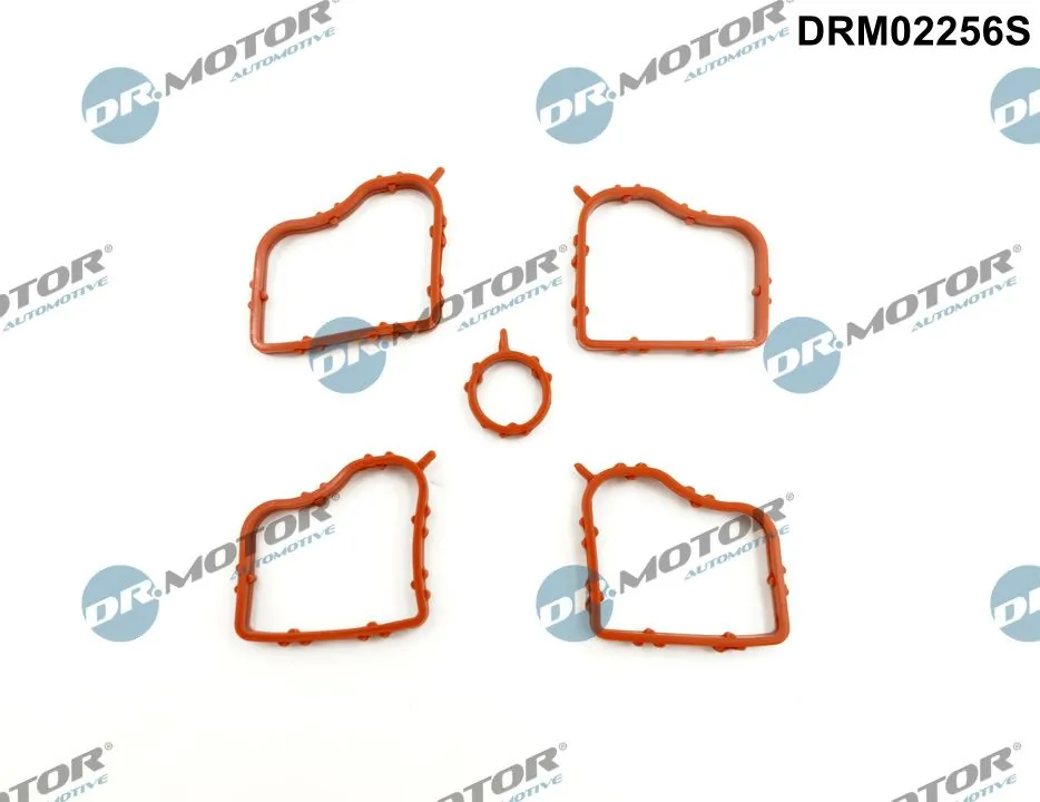 DR MOTOR DRM02256S