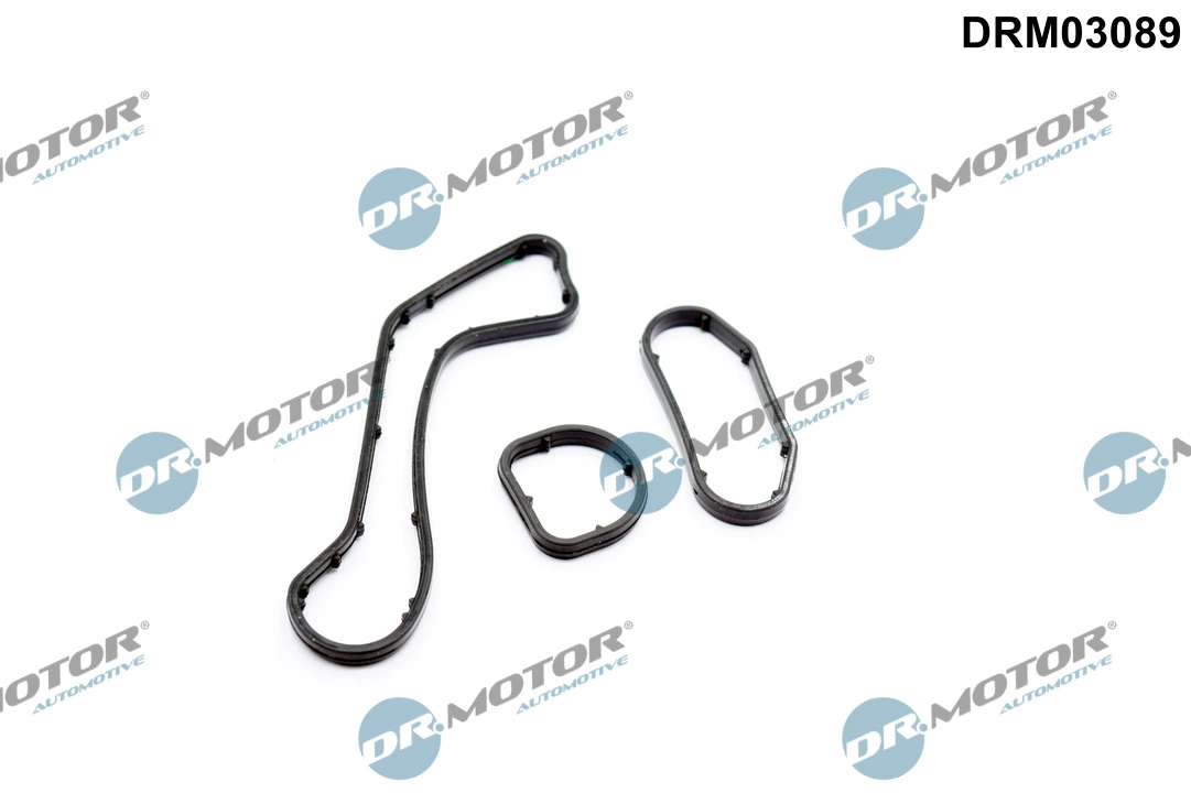 DR MOTOR DRM03089