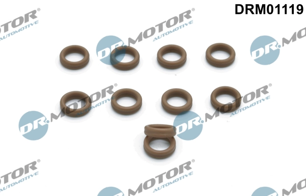 DR MOTOR DRM01119