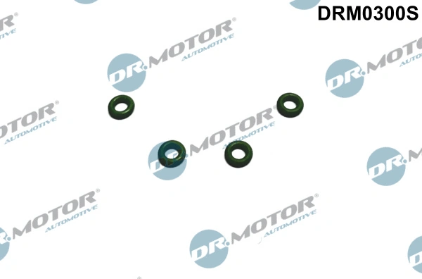 DR MOTOR DRM0300S