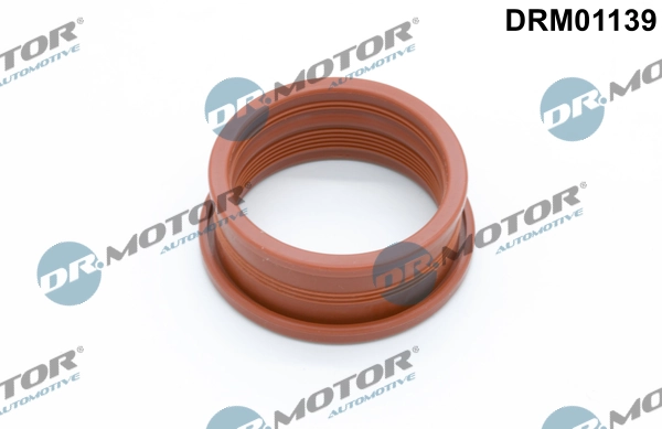 DR MOTOR DRM01139