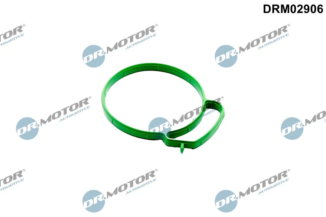 DR MOTOR DRM02906