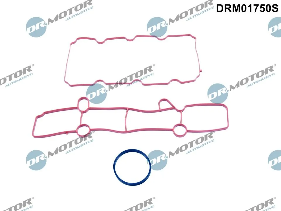 DR MOTOR DRM01750S