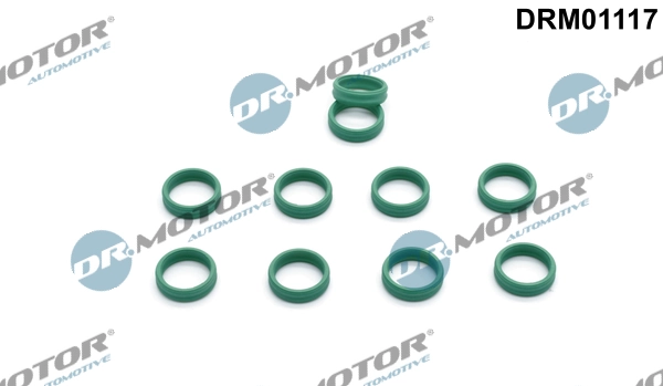 DR MOTOR DRM01117