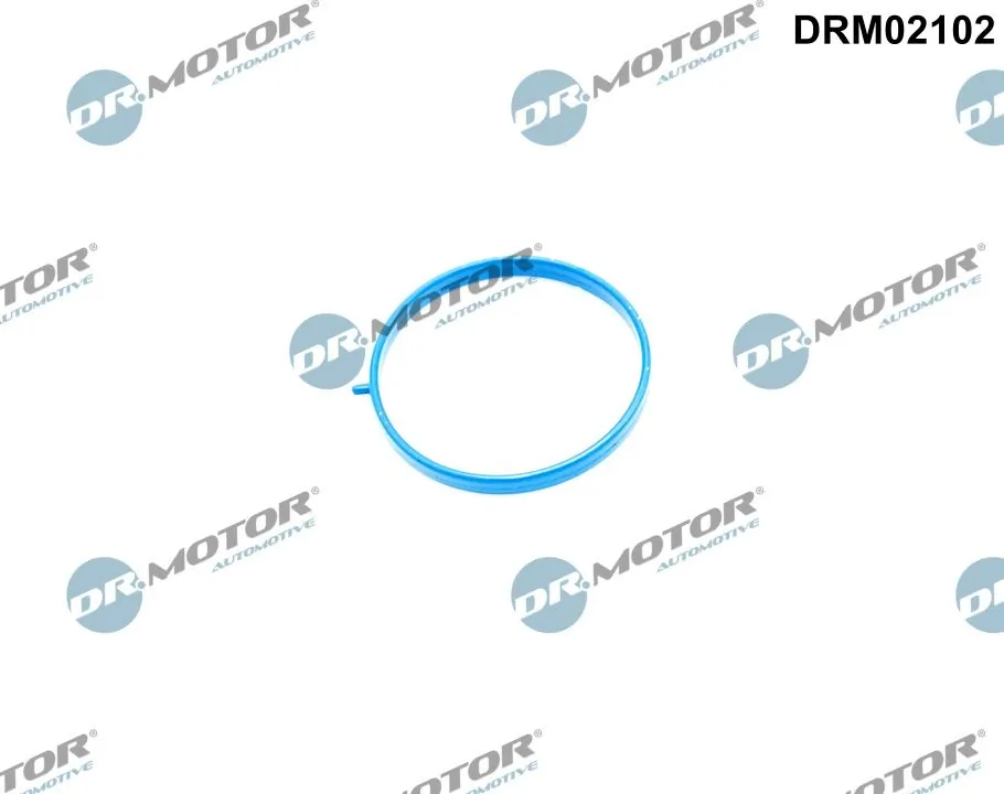 DR MOTOR DRM02102