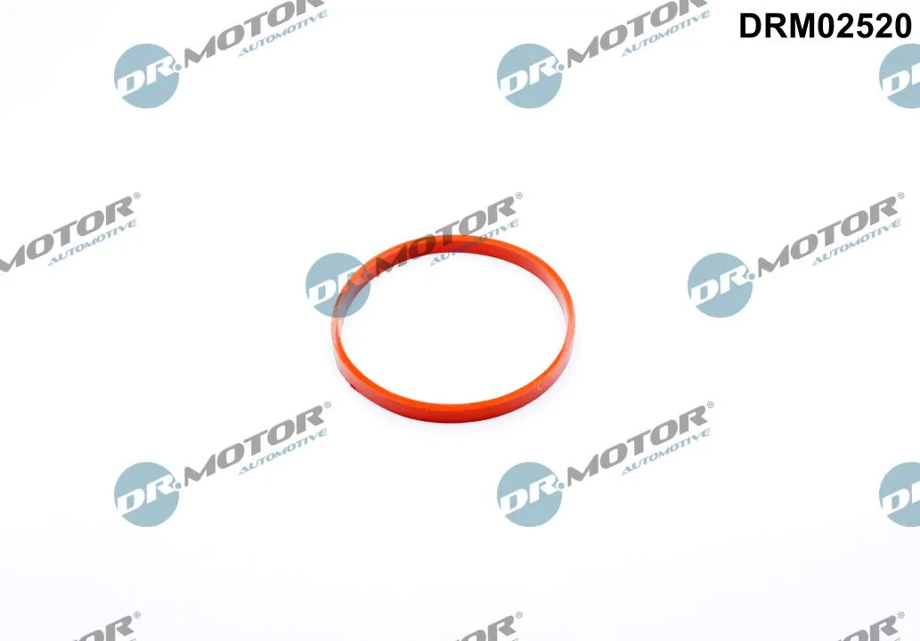 DR MOTOR DRM02520