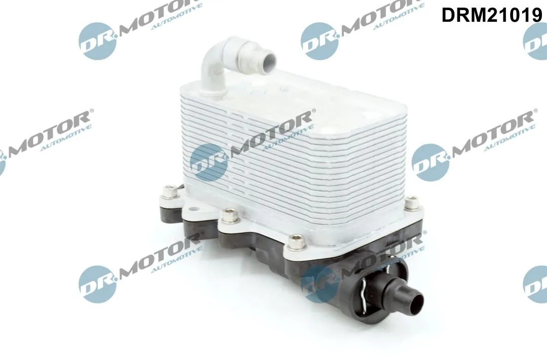 DR MOTOR DRM21019