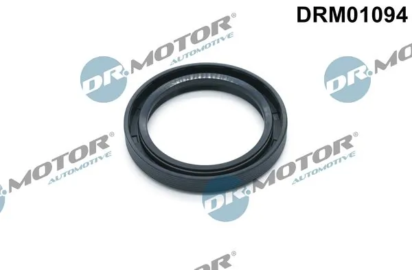 DR MOTOR DRM01094