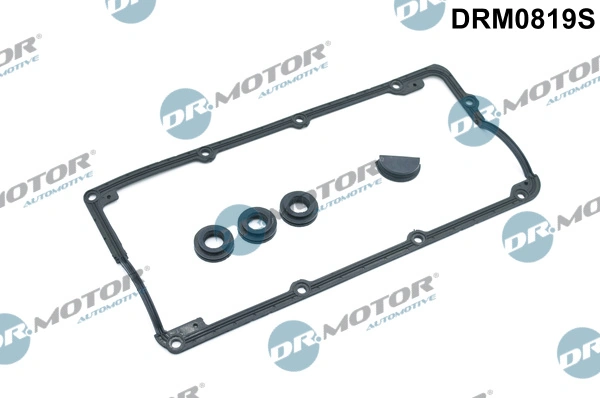 DR MOTOR DRM0819S