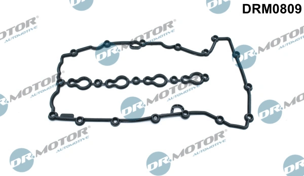 DR MOTOR DRM0809