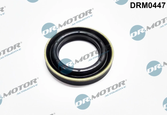 DR MOTOR DRM0447
