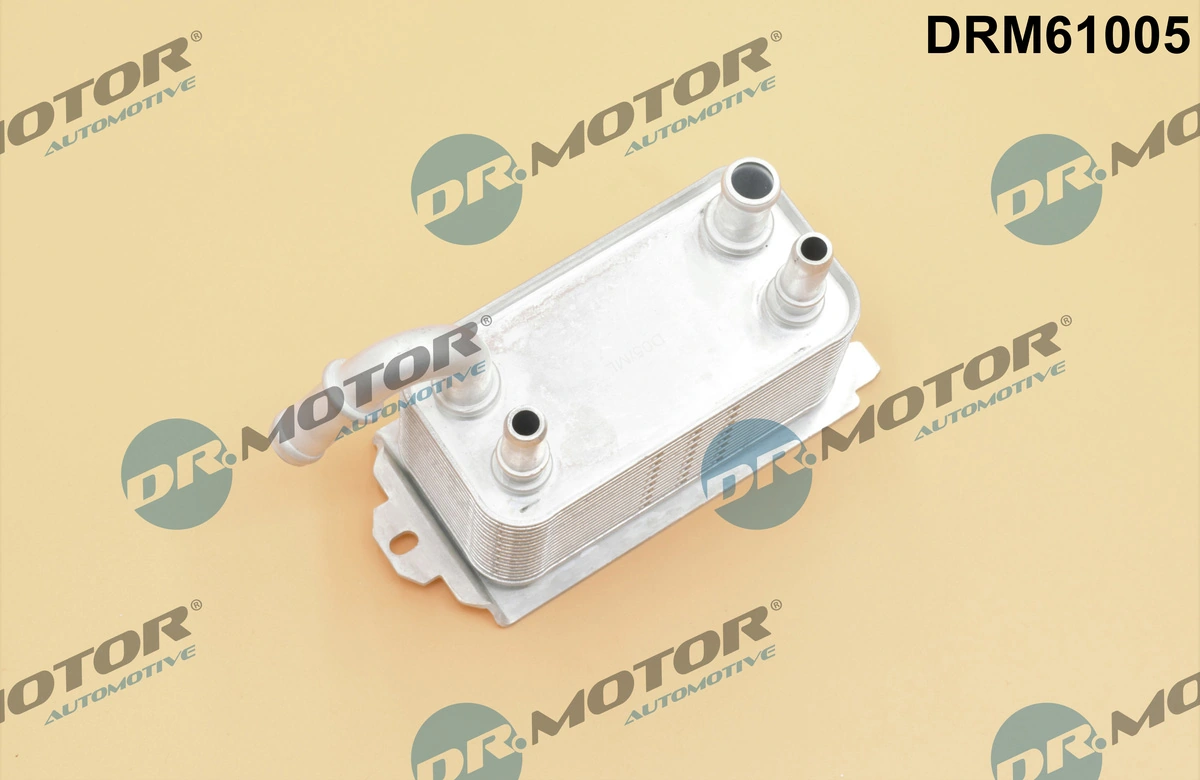 DR MOTOR DRM61005