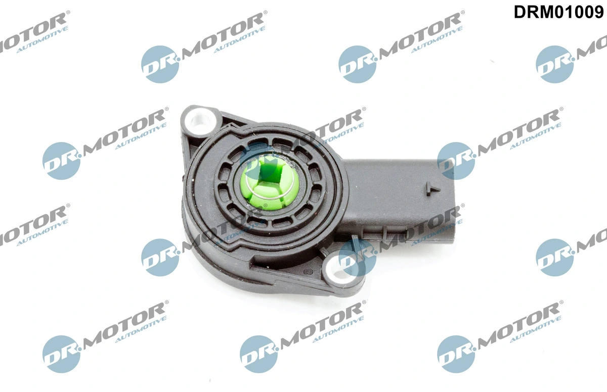 DR MOTOR DRM01009