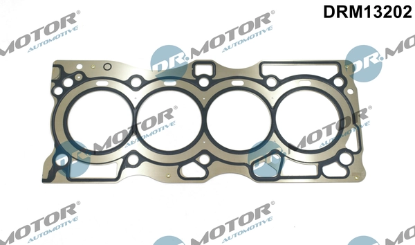DR MOTOR DRM13202