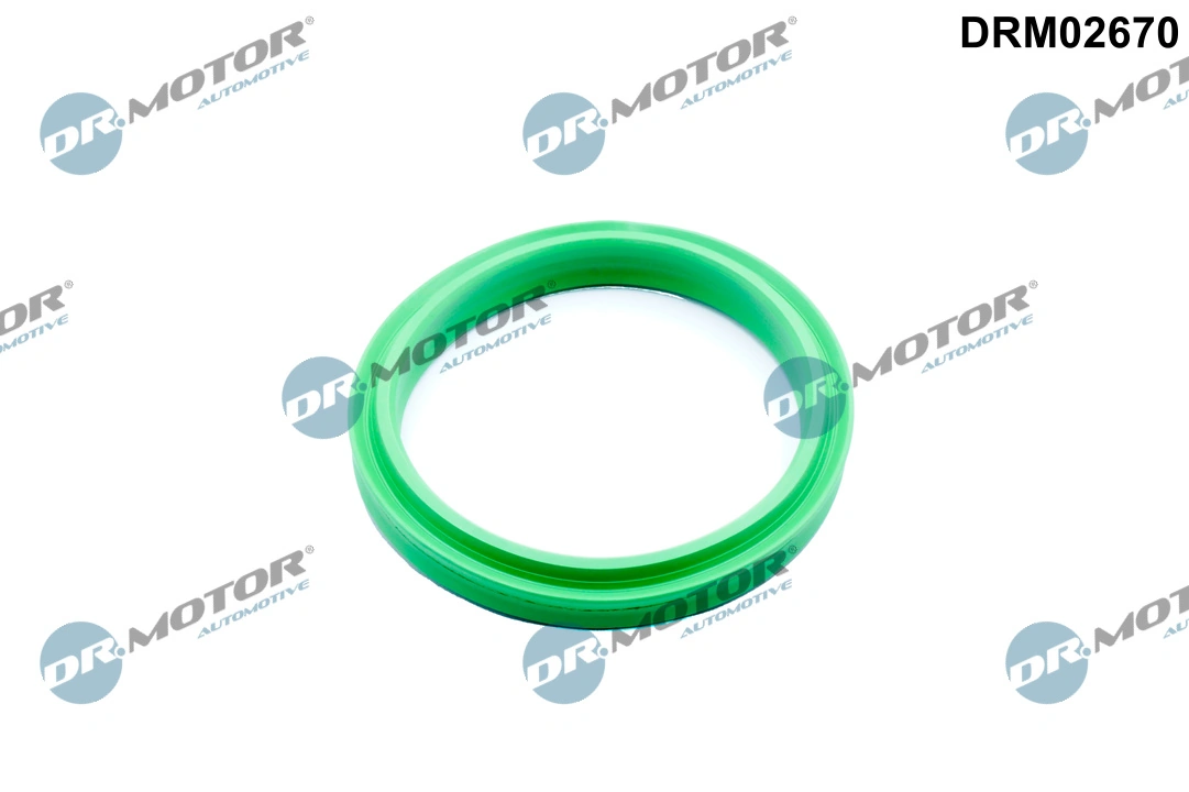 DR MOTOR DRM02670
