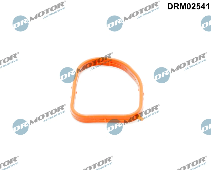 DR MOTOR DRM02541