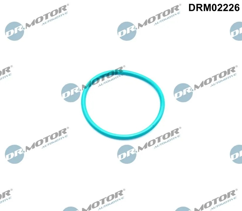 DR MOTOR DRM02226