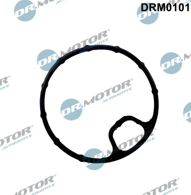 DR MOTOR DRM0101