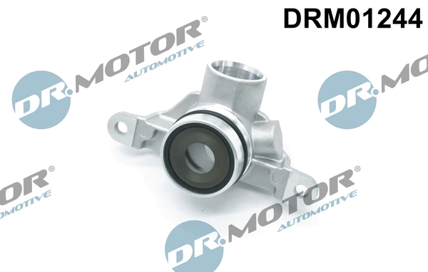 DR MOTOR DRM01244