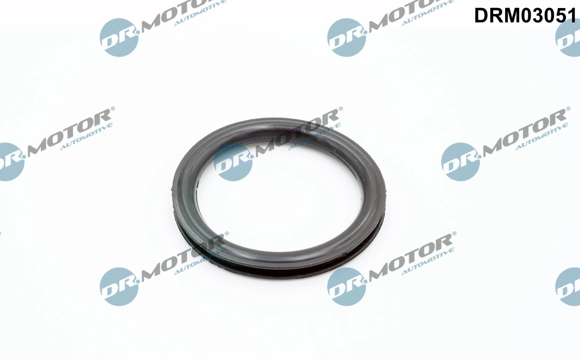 DR MOTOR DRM03051