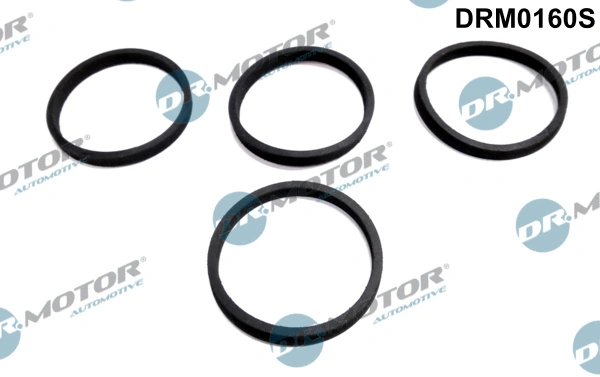 DR MOTOR DRM0160S