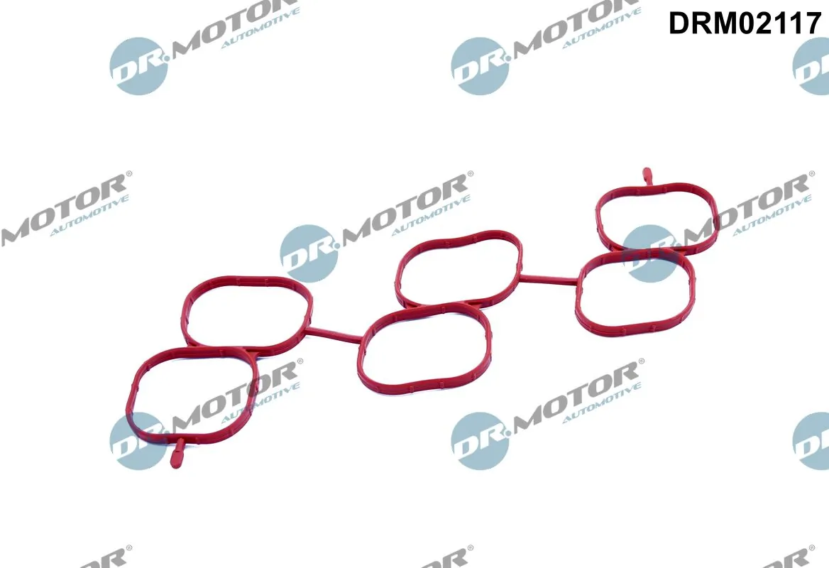 DR MOTOR DRM02117
