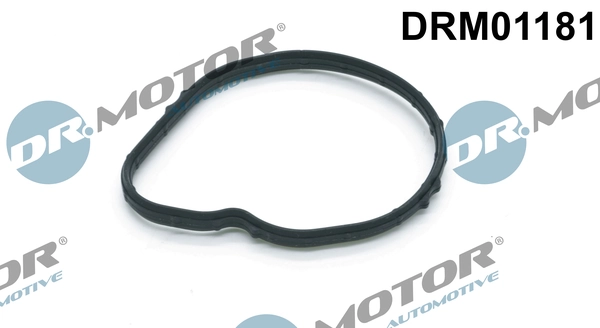 DR MOTOR DRM01181