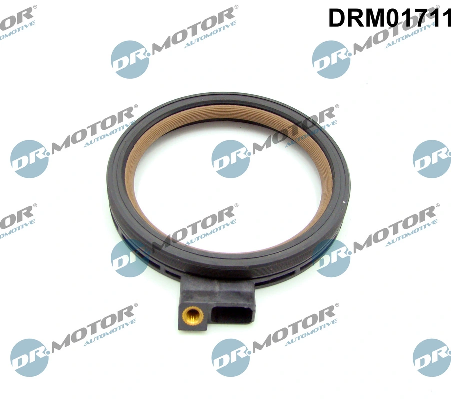 DR MOTOR DRM01711