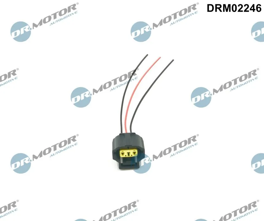 DR MOTOR DRM02246