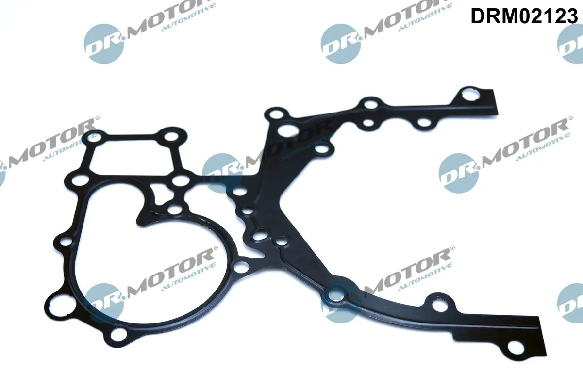 DR MOTOR DRM02123