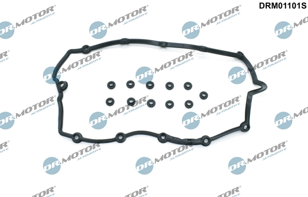 DR MOTOR DRM01101S