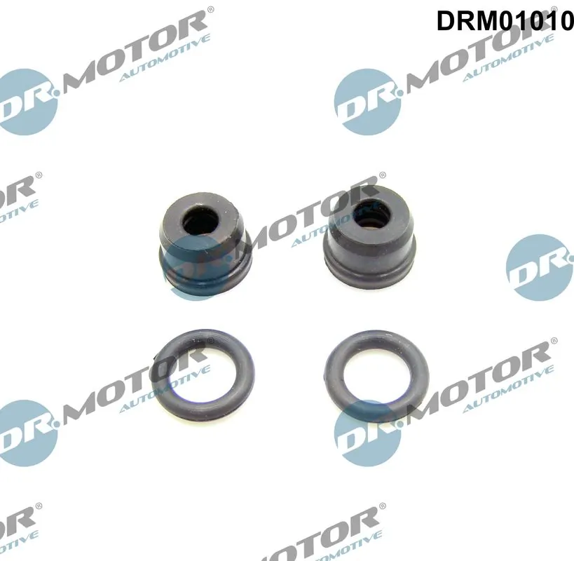 DR MOTOR DRM01010
