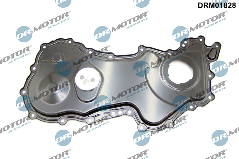 DR MOTOR DRM01828