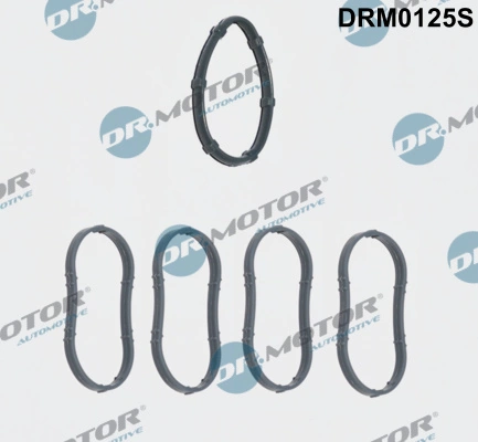 DR MOTOR DRM0125S