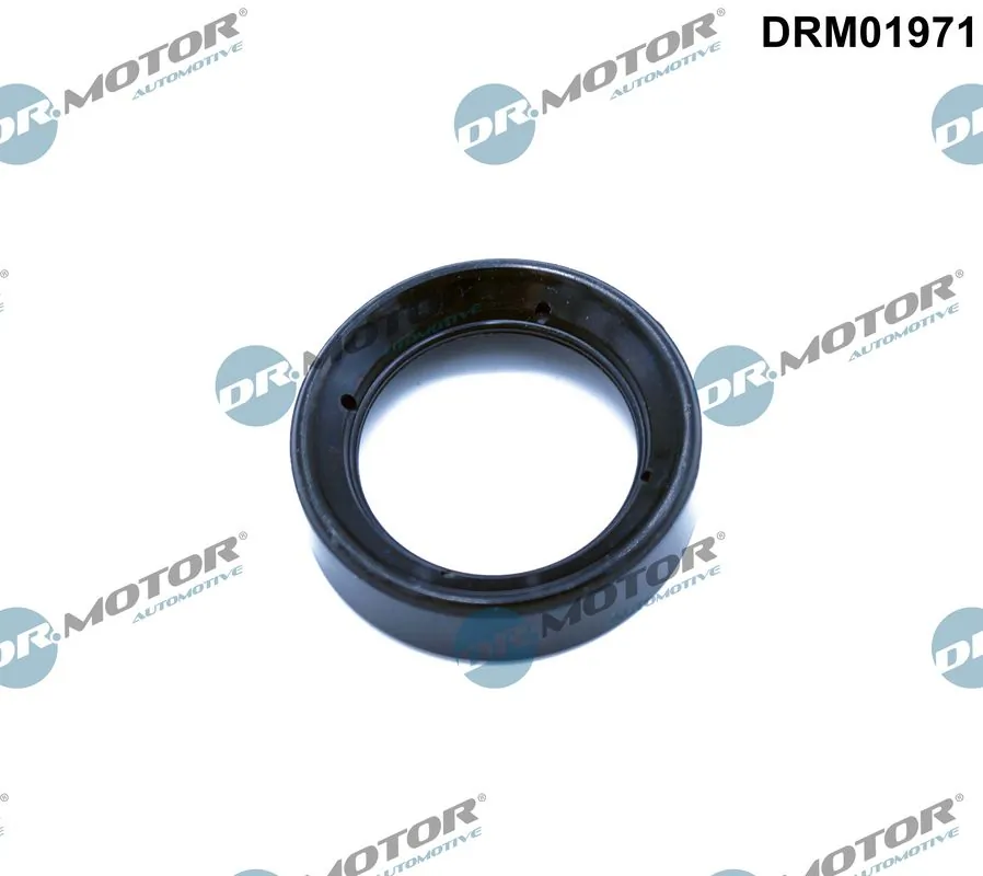 DR MOTOR DRM01971