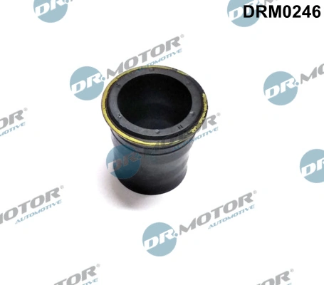 DR MOTOR DRM0246