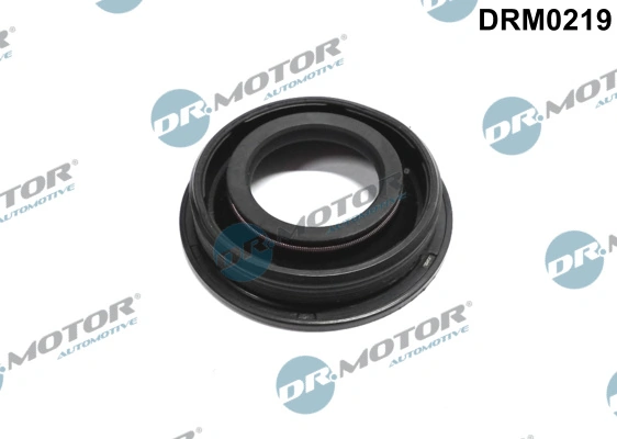 DR MOTOR DRM0219