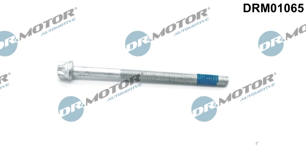 DR MOTOR DRM01065