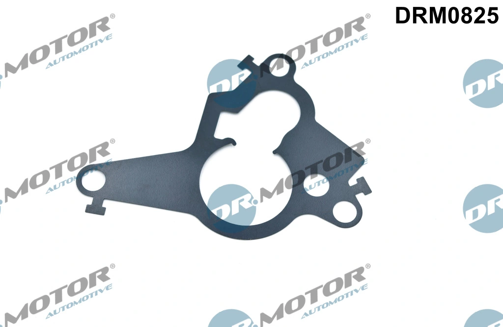 DR MOTOR DRM0825