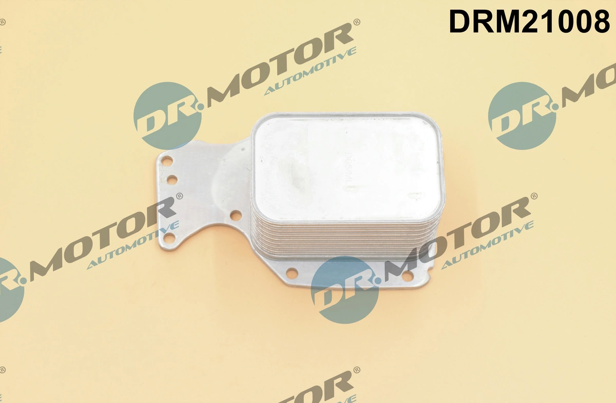 DR MOTOR DRM21008
