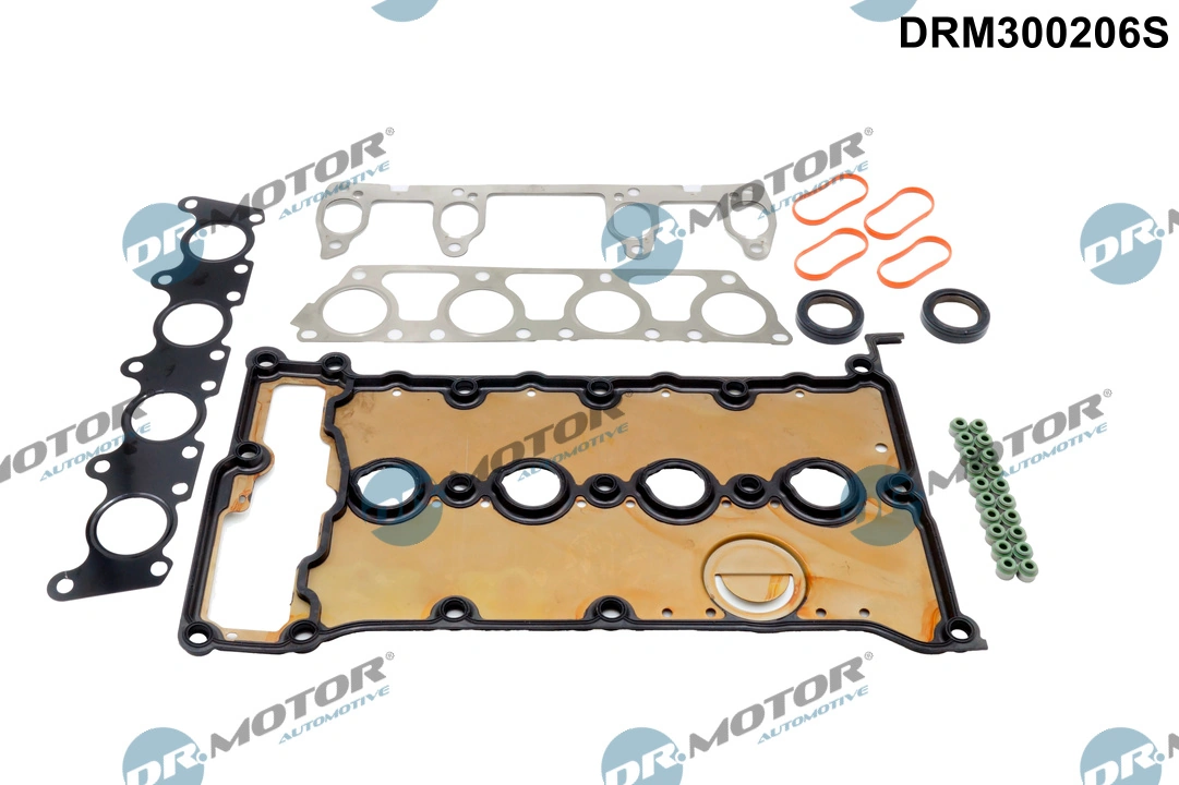 DR MOTOR DRM300206S