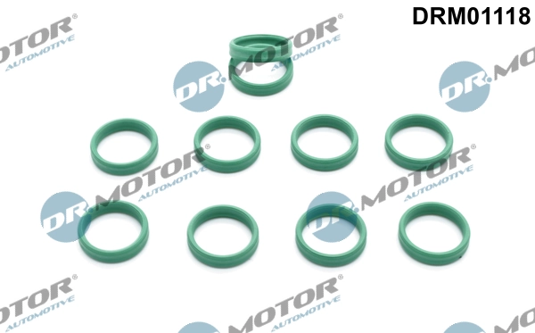 DR MOTOR DRM01118