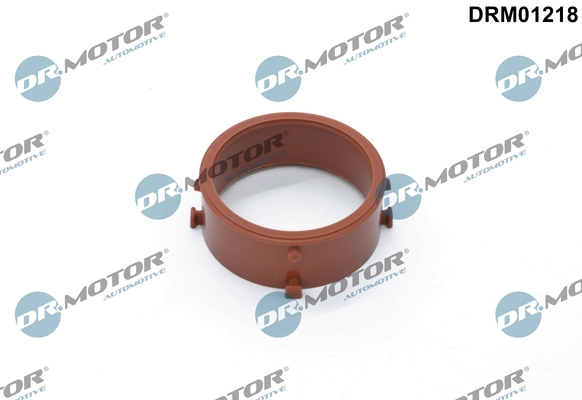 DR MOTOR DRM01218