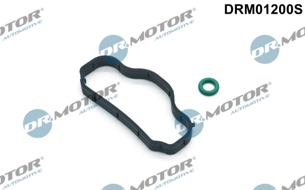 DR MOTOR DRM01200S