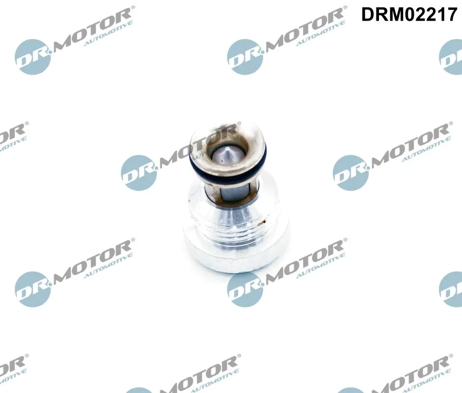 DR MOTOR DRM02217